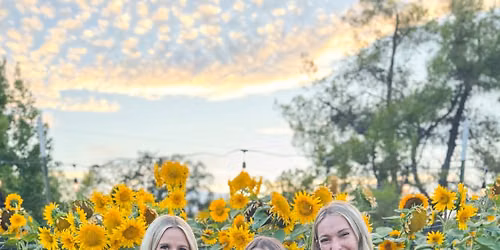 Flower Field You-Pick