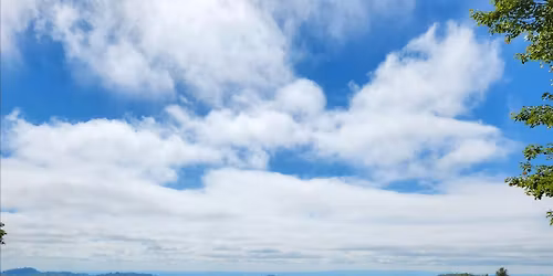 Steps with Dr Lex & The Spark Society