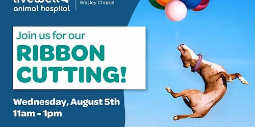 Ribbon Cutting Celebration- Livewell Animal Hospital of Wesley Chapel