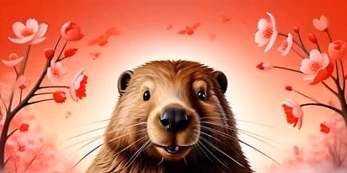 Beavers visit the Moose