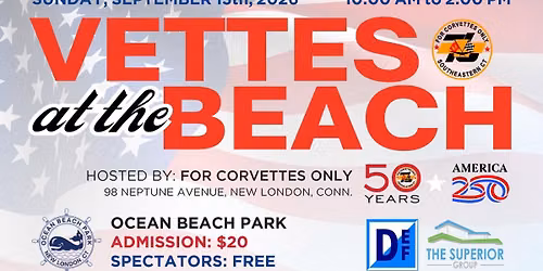 Vettes at the Beach