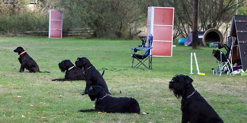 PSK Trainingswochenende M\u00e4rz 2026