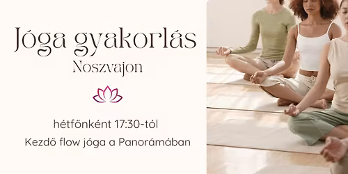 J\u00f3ga gyakorl\u00e1s Noszvajon