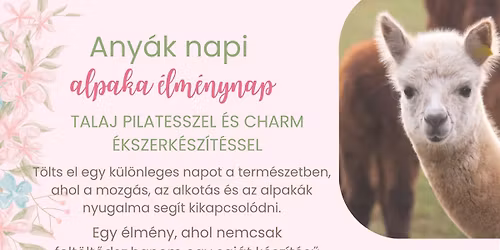 Any\u00e1k napi alpaka \u00e9lm\u00e9ny pilatessel