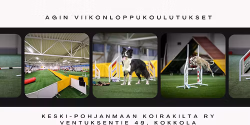 Esa Lehdist\u00f6n agilityvalmennus Kokkolassa