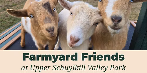Farmyard Friends