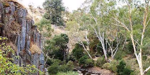 Mt Franklin to Vaughn Springs