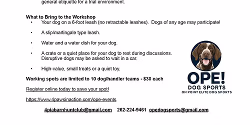 Introduction to Barn Hunt Workshop