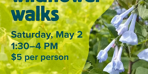 Late Spring Wildflower Walk