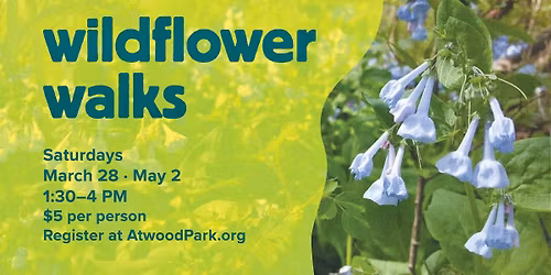 Late Spring Wildflower Walk