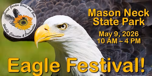 Eagle Festival at Mason Neck State Park
