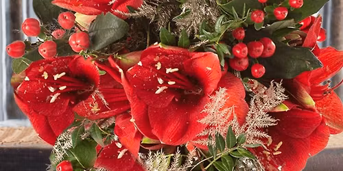 Monthly meeting - Christmas flowers with Elizabeth Barralet