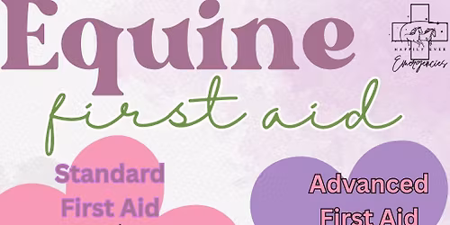 Equine First Aid
