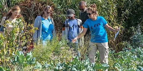 Grow Weston Walks #4: Urban Gardens & Green Spaces