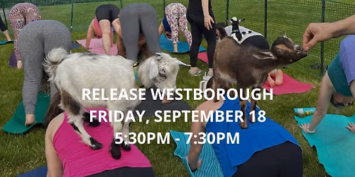 Goat Yoga