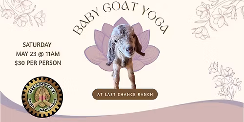 Baby Goat Yoga