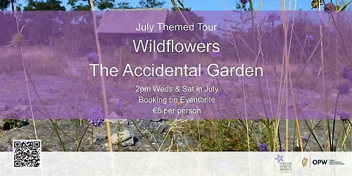 Wildflowers: The Accidental Garden