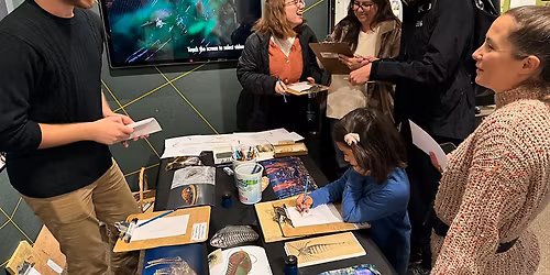 In-Person Special Event: Fossil Day