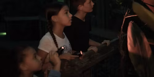 Family Night Hike: A Celebration of Light