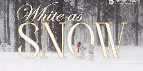 Christmas Eve at Desert Springs