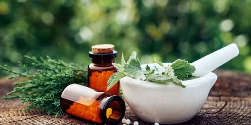 Plant Medicine 102a: Let\u2019s Make Ointments, Salves, and Lotions