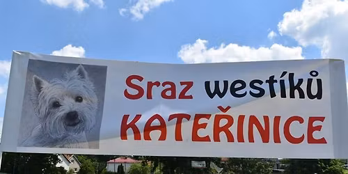 Sraz west\u00edk\u016f Kate\u0159inice, 5. ro\u010dn\u00edk