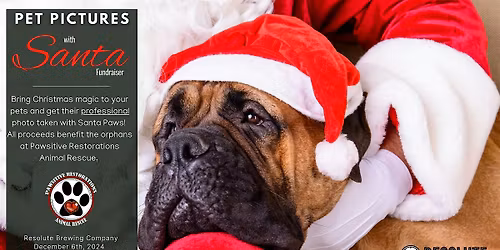 Professional Pet Pictures with Santa to Benefit Pawsitive Restorations