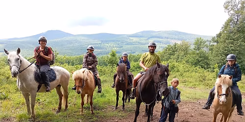 Entdecke die Freiheit: Abenteuerliches Nomadenreiten auf Islandpferden in Ungarn