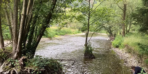Bronnenvrouwen traject - Heilige Waters - LAATSTE PLEK - 30 januari tot 3 mei 2026