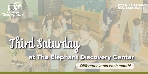 Third Saturday: Elephant Enrichment Creation