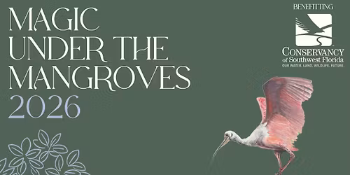 Magic Under the Mangroves Gala