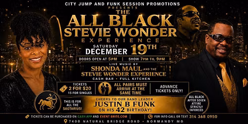 THE STEVIE WONDER EXPERIENCE