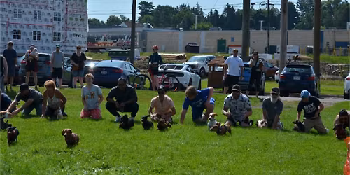 WIENERPAWLOOZA NB
