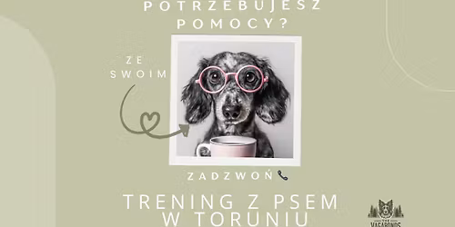 Potrzebujesz pomocy w pracy ze swoim psem? Trenerka ps\u00f3w. Toru\u0144 i okolice.