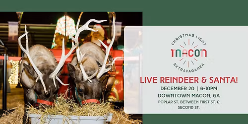 LIVE REINDEER at Macon Christmas Light Extravaganza
