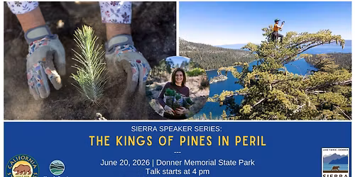 Sierra Speaker Series: The King of Pines in Peril