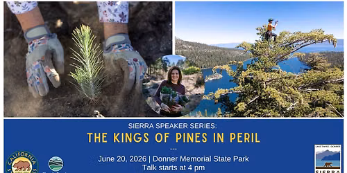 Sierra Speaker Series: The King of Pines in Peril