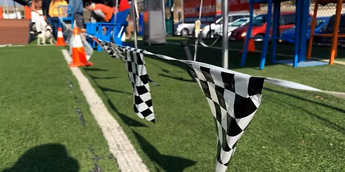 2nd Annual Basset and Beagle Derby