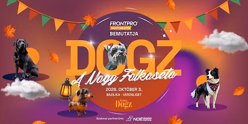 DOGZ A Nagy Falkas\u00e9ta \ud83d\udc3e