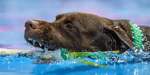 2026 NADD Blueridge classic of the Carolinas 