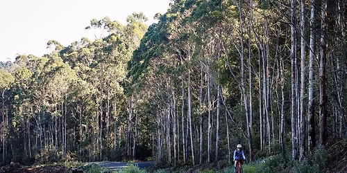 Girl Gang Off-Road: July edition