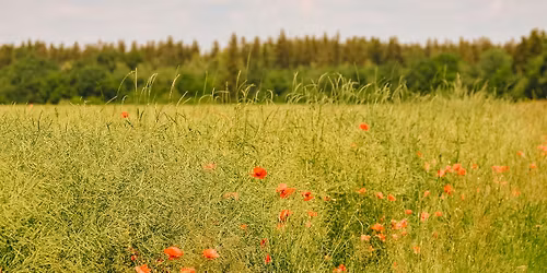 Kes\u00e4kauden avajaiset 