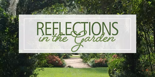 Reflections in the Garden