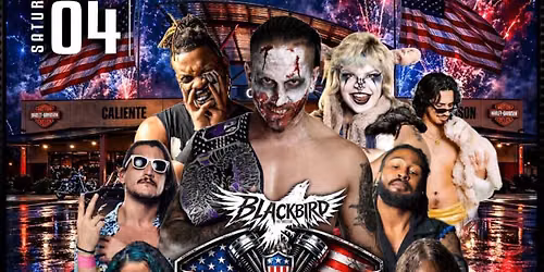 Blackbird Harley Havoc 
