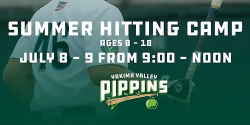 Summer Hitting Camp - Two Days