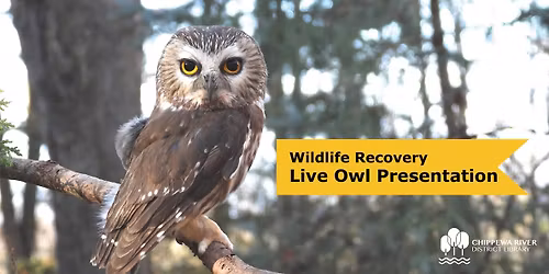Wildlife Recovery LIVE Owl Presentation: Session ONE for young children