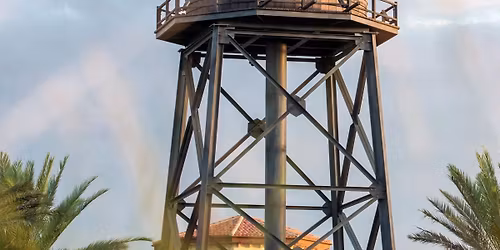 Bears in the Springs