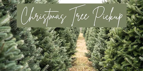 Tree Pick Up Fundraiser