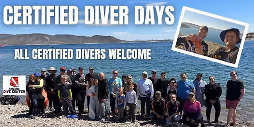 Certified Diver Day - Afternoon & Night Dive