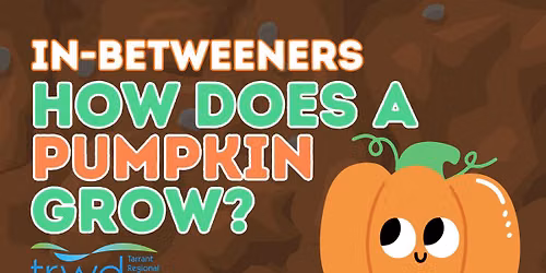 In-Betweeners: How Does a Pumpkin Grow?